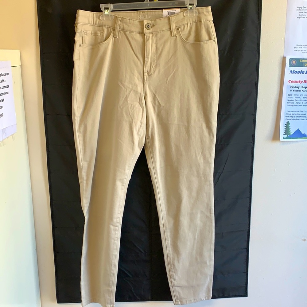 NWT style and company size 12 curvy skinny jeans